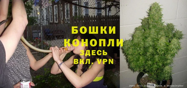 тгк Богданович