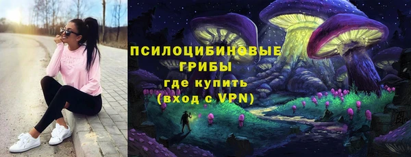 тгк Богданович