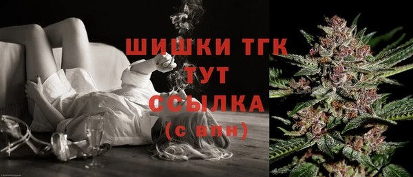 тгк Богданович