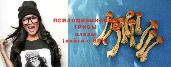 эйфоретик Богородицк