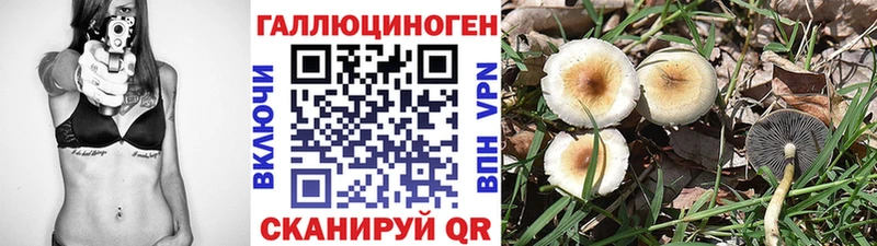 Псилоцибиновые грибы прущие грибы  Трёхгорный 
